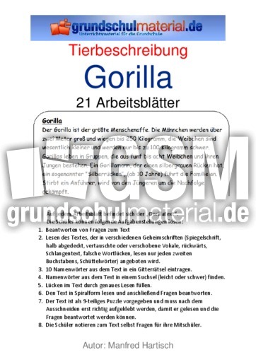 Gorilla.pdf